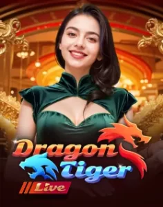 bingoplus Live Casino