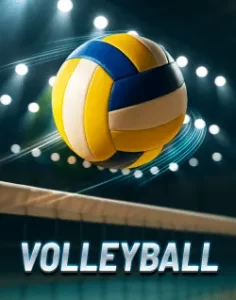 bingoplus Sports