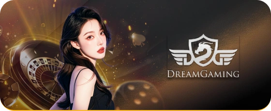 bingoplus HD live casino streaming interface